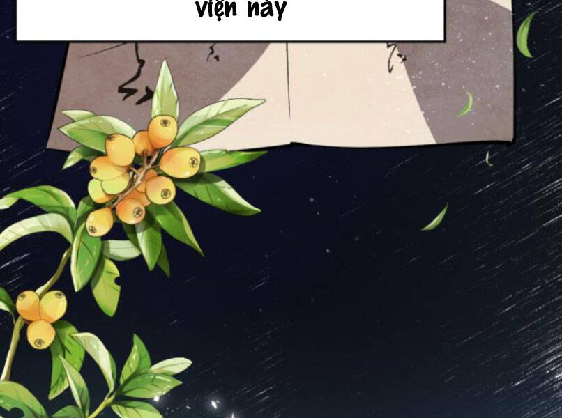 Đệ Nhất Võ Sư, Baek Cao Thủ Chap 16 - Next Chap 17