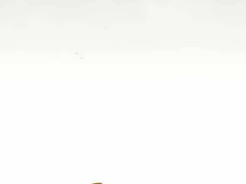 Đệ Nhất Võ Sư, Baek Cao Thủ Chap 26 - Next Chap 27