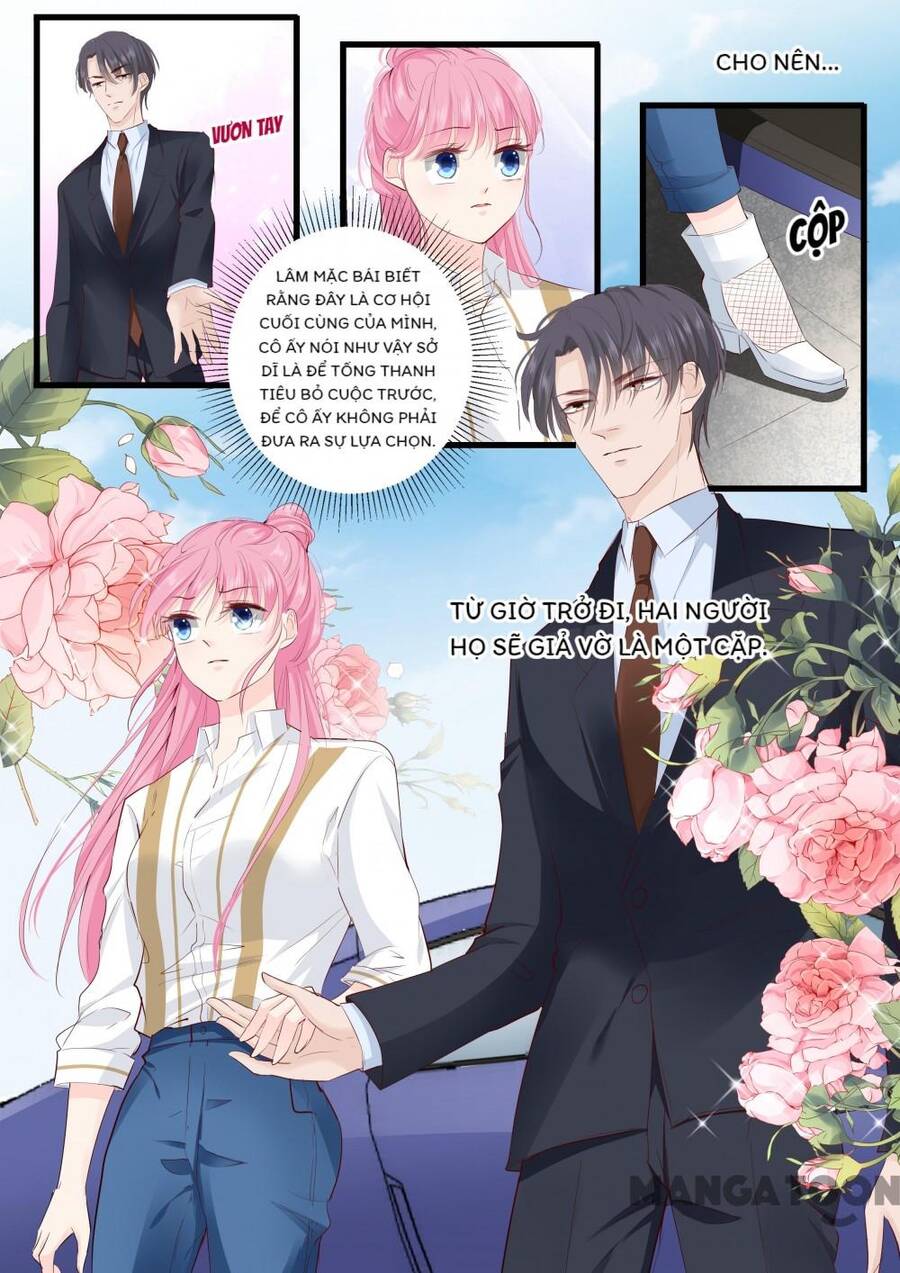 Đế Thiếu Đừng Mạnh Quá Chap 259 - Next Chap 260
