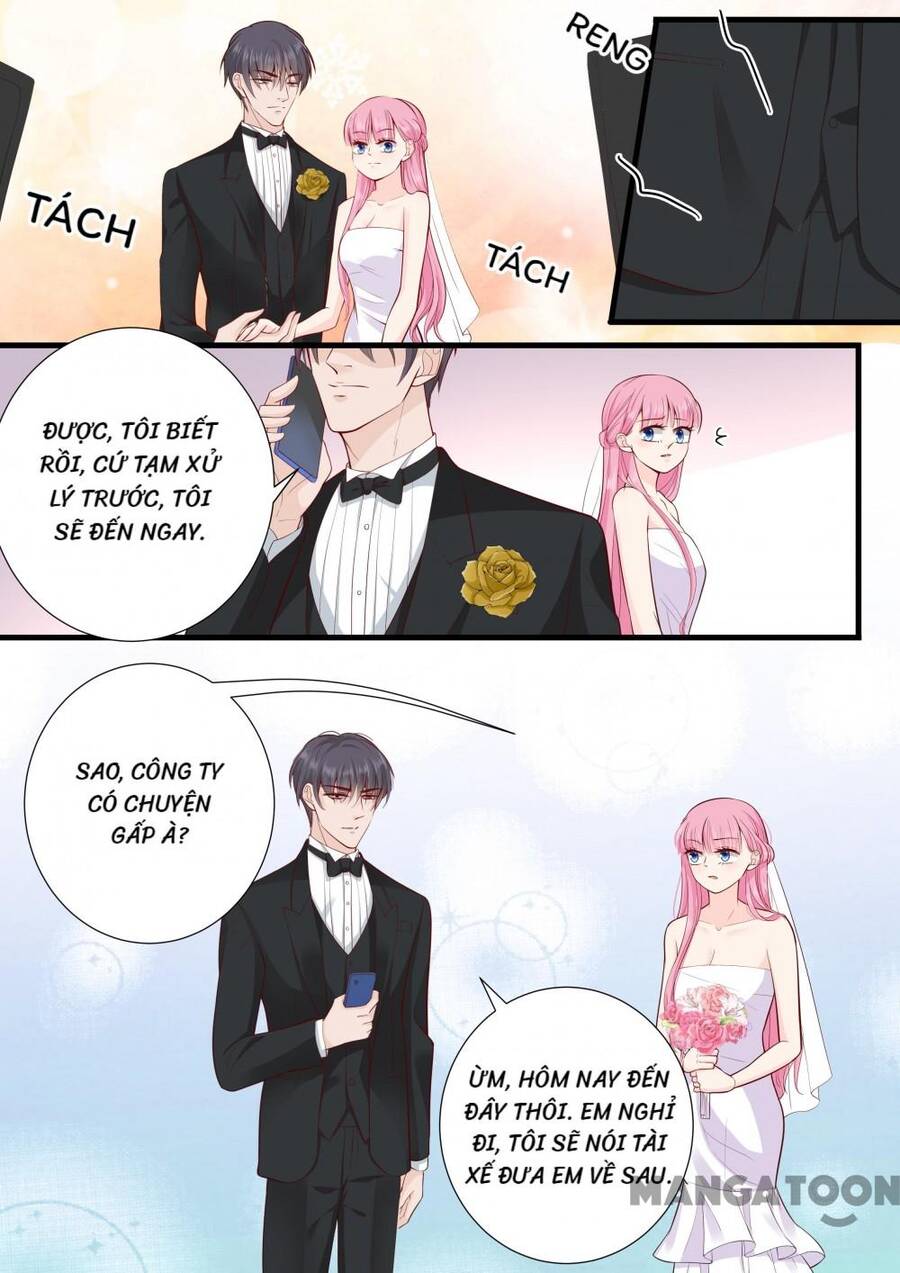 Đế Thiếu Đừng Mạnh Quá Chap 272 - Next Chap 273