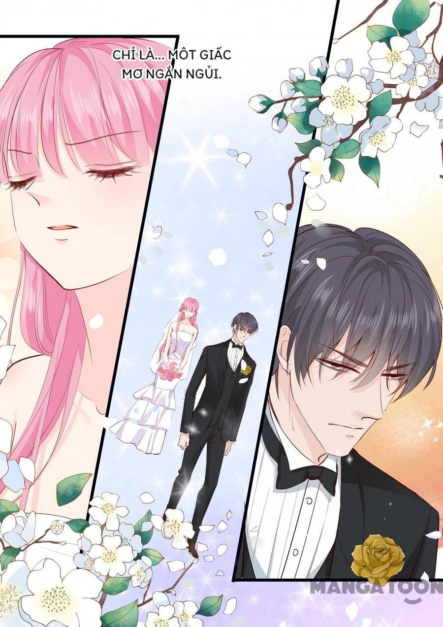 Đế Thiếu Đừng Mạnh Quá Chap 272 - Next Chap 273