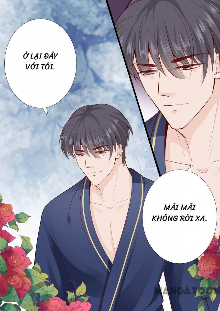 Đế Thiếu Đừng Mạnh Quá Chap 274 - Next Chap 275