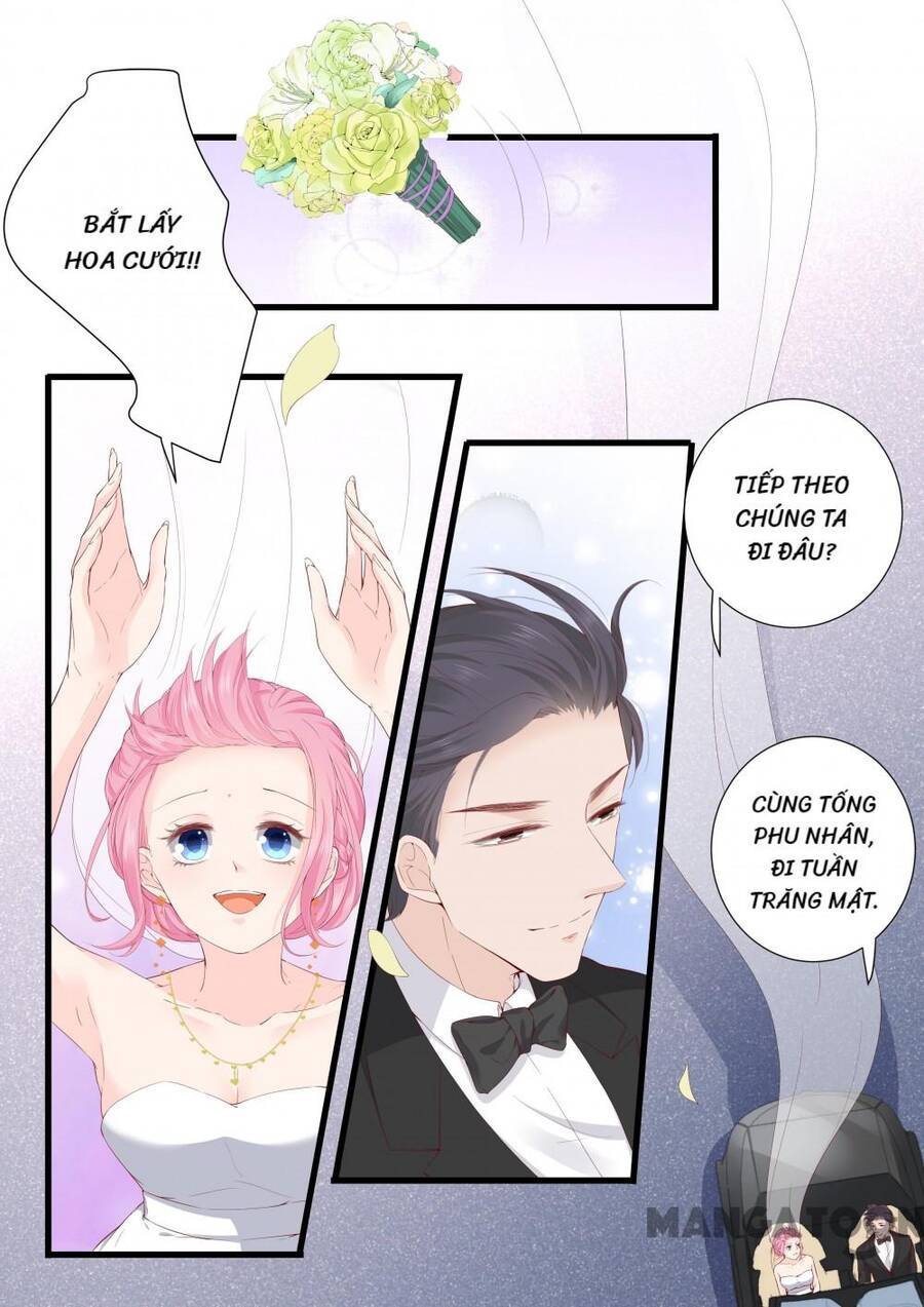 Đế Thiếu Đừng Mạnh Quá Chap 333 - Next Chap 334
