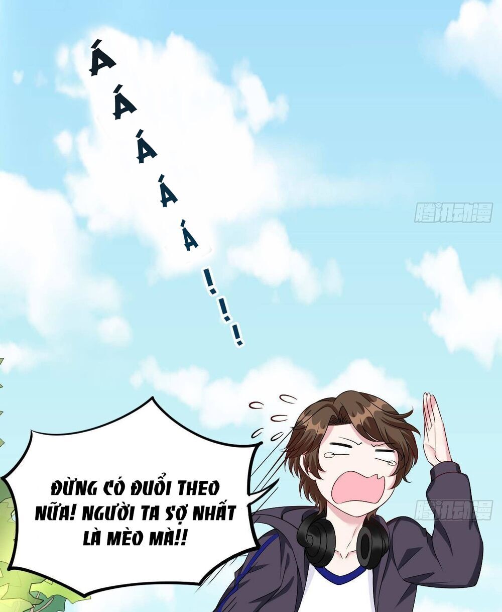 Đế Thiếu Ngọt Sủng: Manh Thê Sống Lại Không Ngoan Chap 13 - Next Chap 14