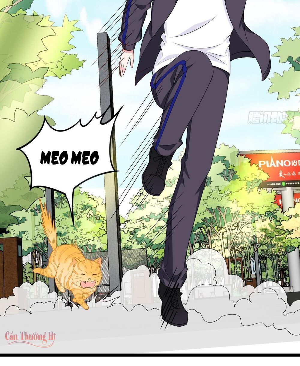 Đế Thiếu Ngọt Sủng: Manh Thê Sống Lại Không Ngoan Chap 13 - Next Chap 14