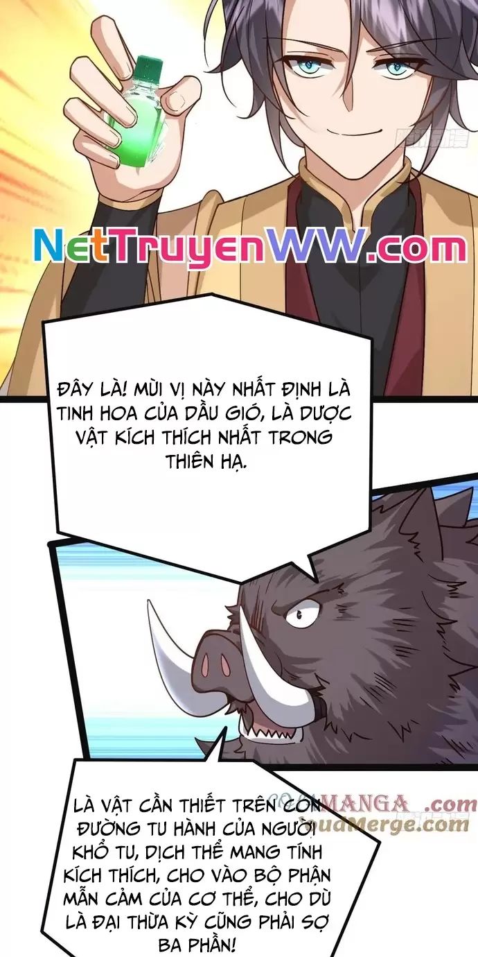 Đệ Tử Siêu Thần Ta Nằm Không, Tông Môn Hủy Diệt Ta Vô Địch Chap 37 - Next Chap 38