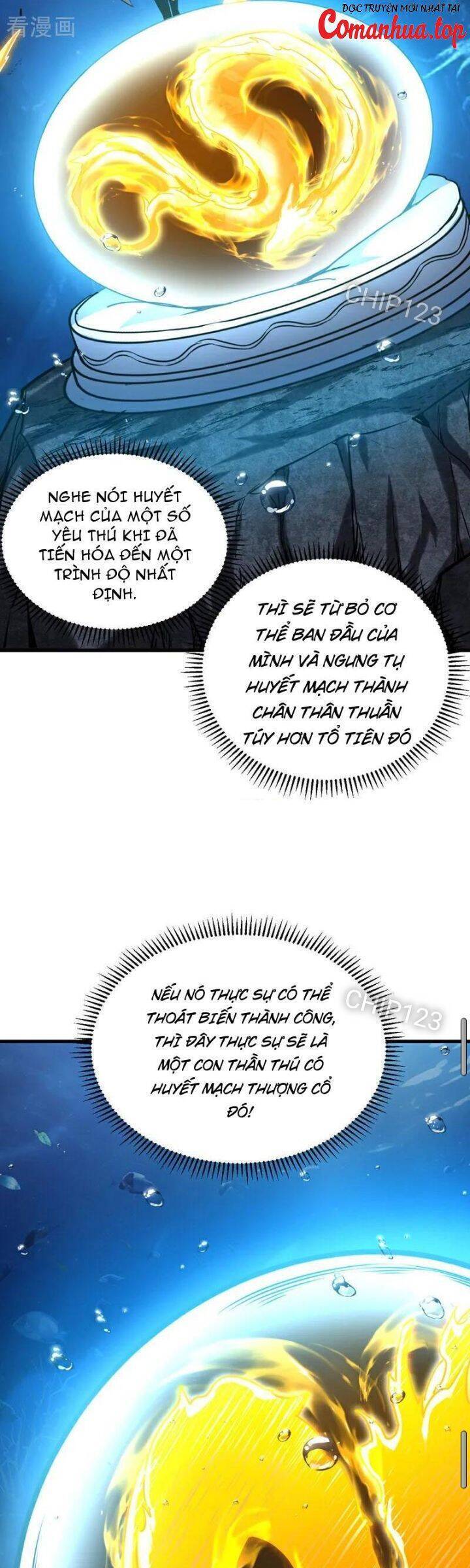 Đệ Tử Tu Luyện Còn Ta Thì Lười Biếng Chap 108 - Next Chap 109