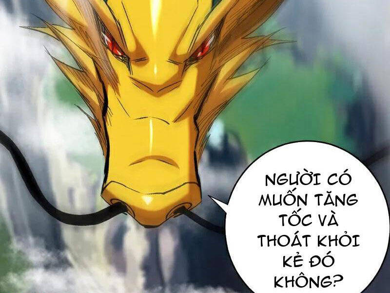 Đệ Tử Tu Luyện Còn Ta Thì Lười Biếng Chap 110 - Next Chap 111