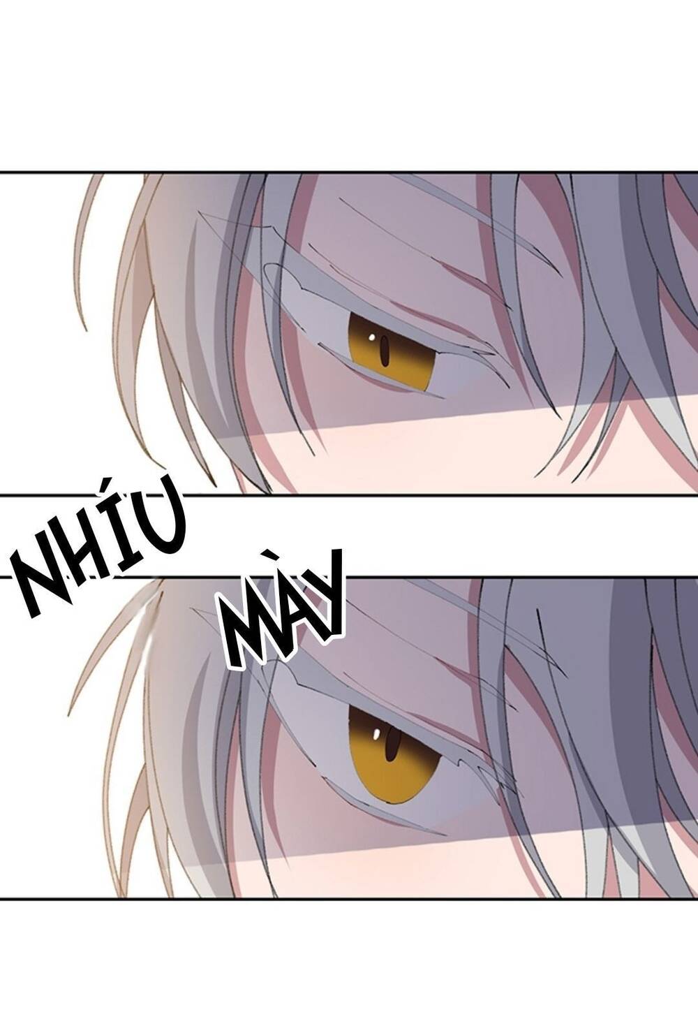 Đeo Bám Tôi Cũng Vô Ích Thôi Chap 11 - Next Chap 12