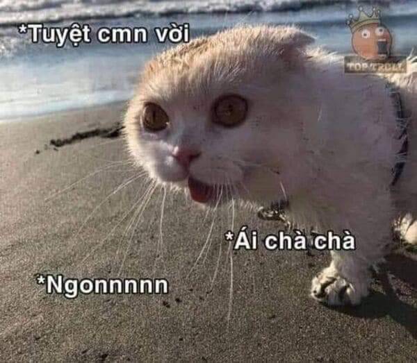 Dị Giới Thất Cách Chap 21 - Next Chap 22