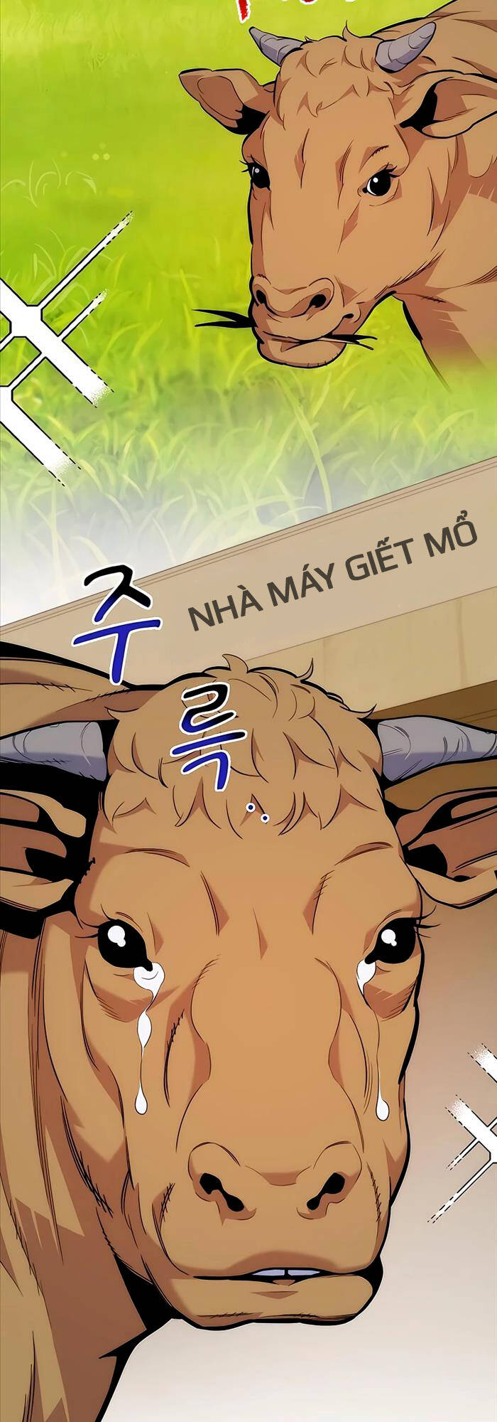 Đi Săn Tự Động Bằng Phân Thân Chap 49 - Next Chap 50