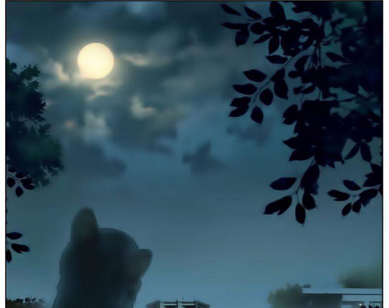 Dị Tộc Trùng Sinh Chap 183 - Next Chap 184