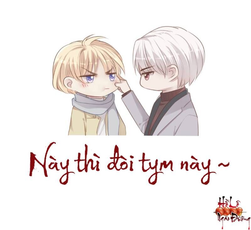 Điều Giáo Gấu Bắc Cực Chap 24 - Next Chap 25