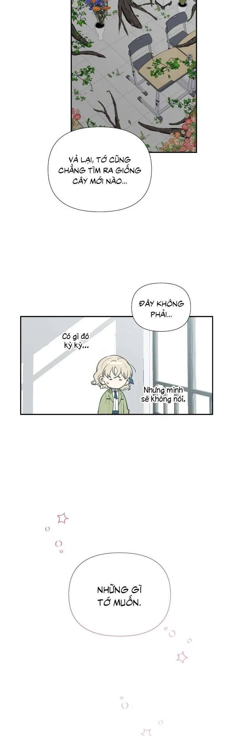 Điều Ước Sao Băng Chap 11 - Next Chap 12
