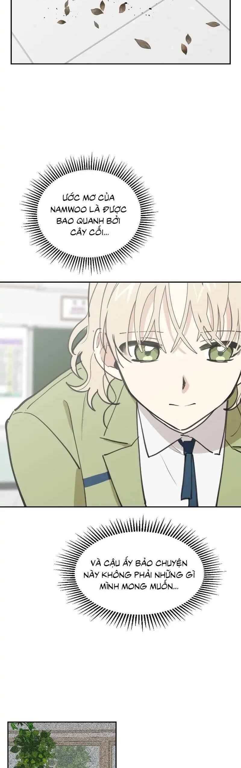 Điều Ước Sao Băng Chap 12 - Next Chap 13