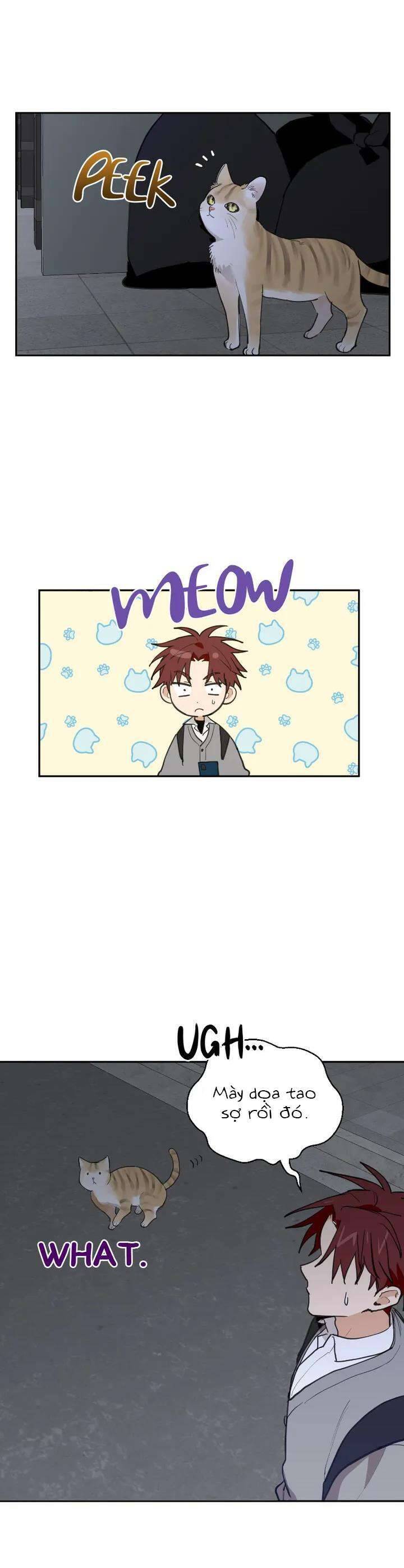 Điều Ước Sao Băng Chap 18 - Next Chap 19