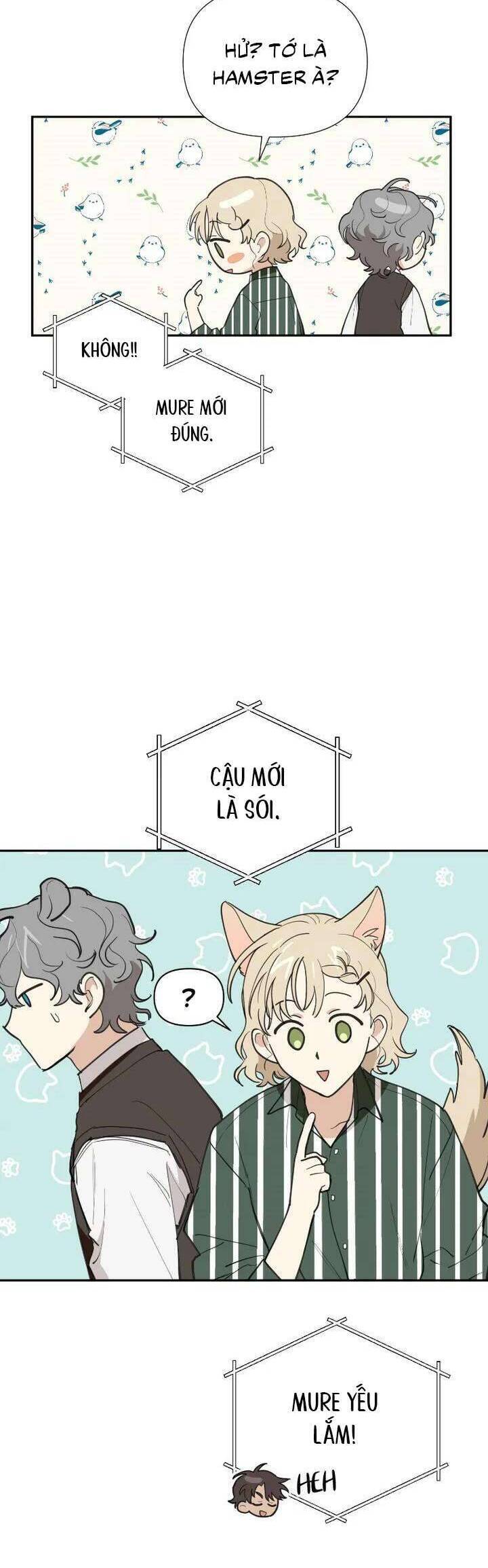 Điều Ước Sao Băng Chap 23 - Next Chap 24