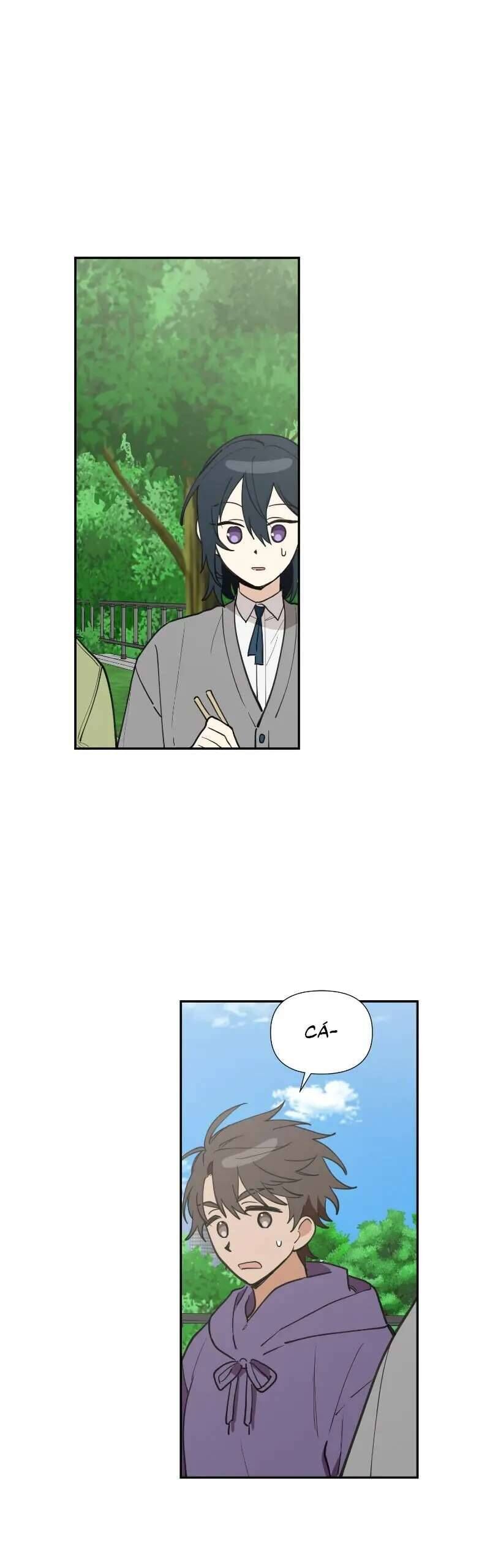 Điều Ước Sao Băng Chap 29 - Next Chap 30