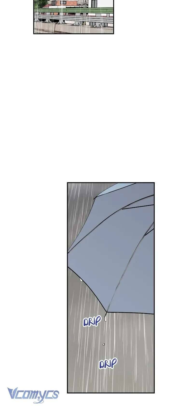 Điều Ước Sao Băng Chap 31 - Next Chap 32
