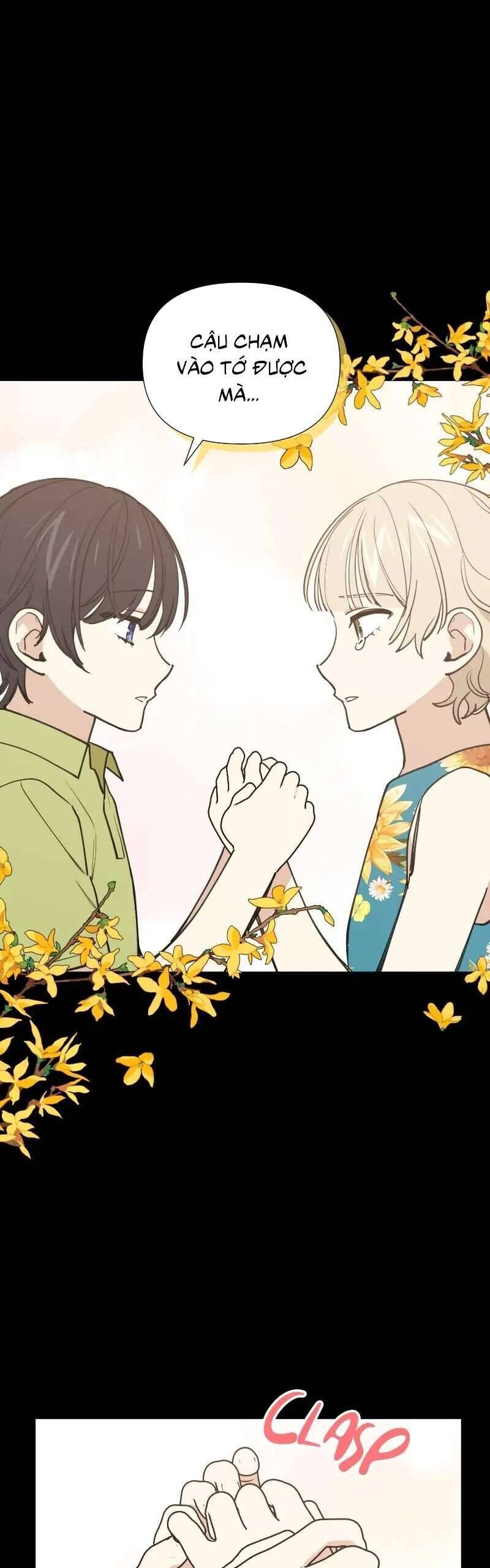 Điều Ước Sao Băng Chap 37 - Next Chap 38