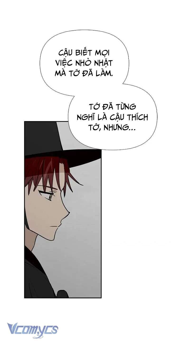 Điều Ước Sao Băng Chap 41 - Next Chap 42