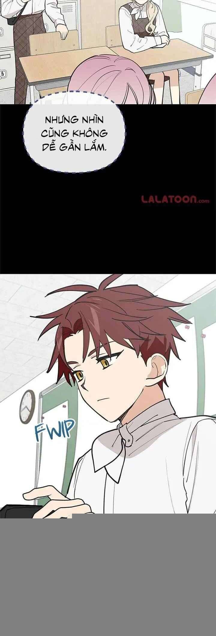 Điều Ước Sao Băng Chap 42 - Next Chap 43