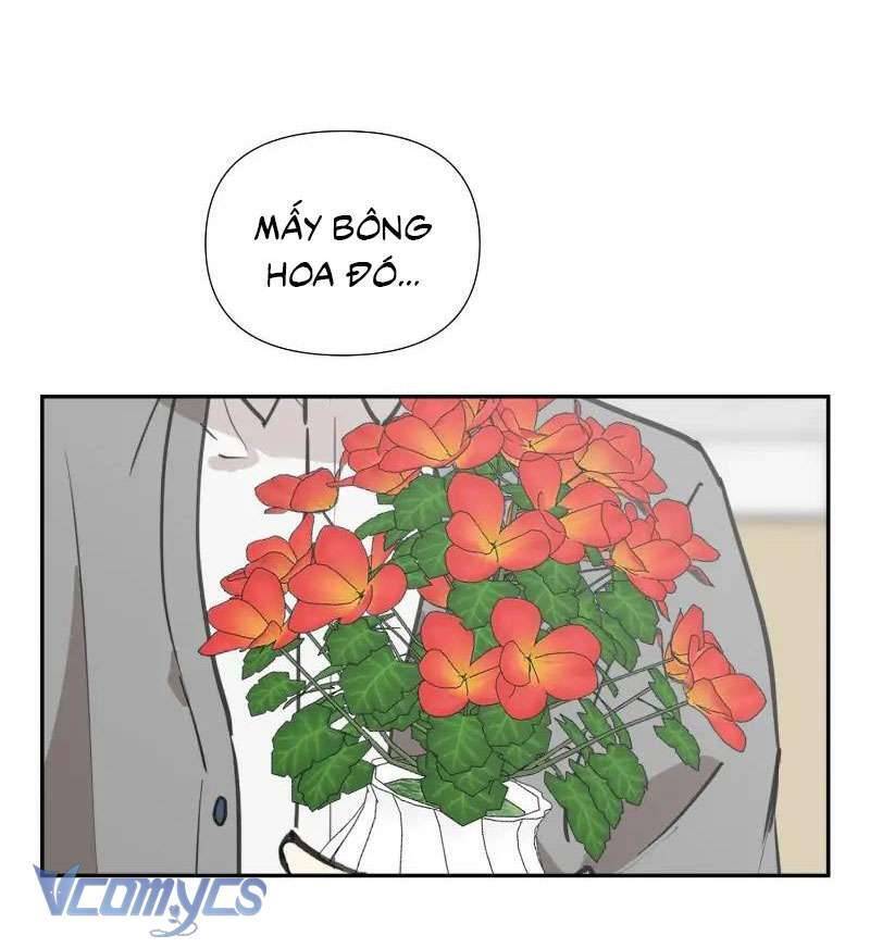 Điều Ước Sao Băng Chap 8 - Next Chap 9