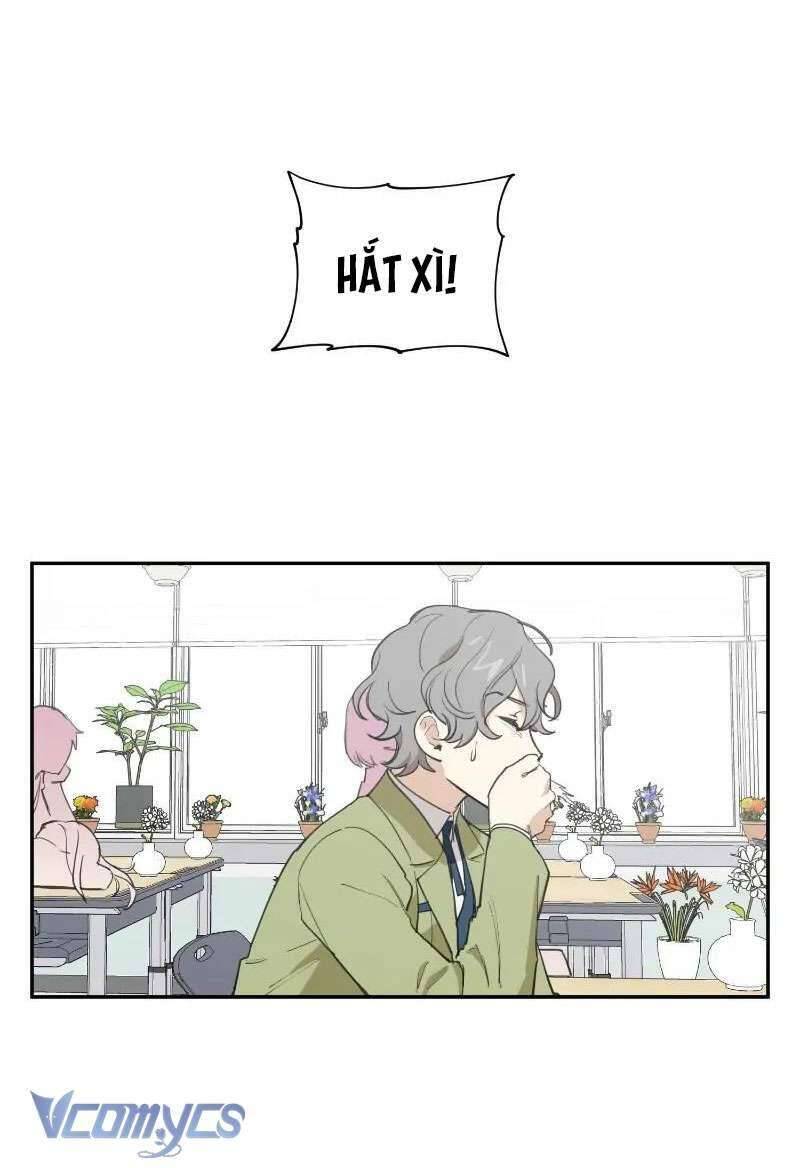 Điều Ước Sao Băng Chap 82 - Next Chap 83