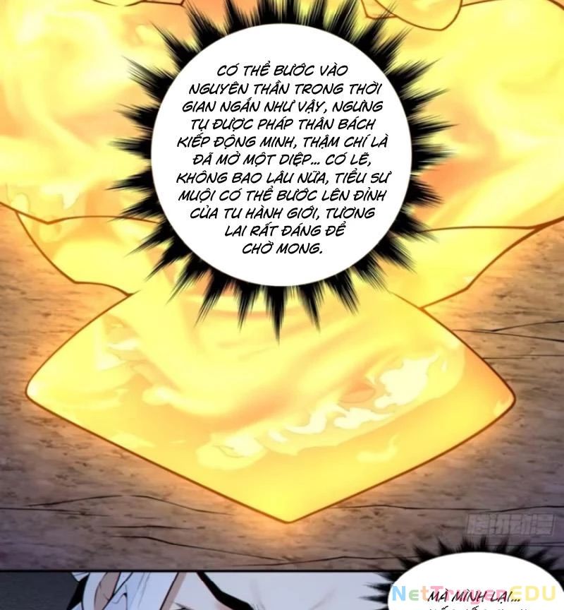 Đồ Đệ Của Ta Đều Là Đại Phản Phái Chap 342 - Next Chap 343