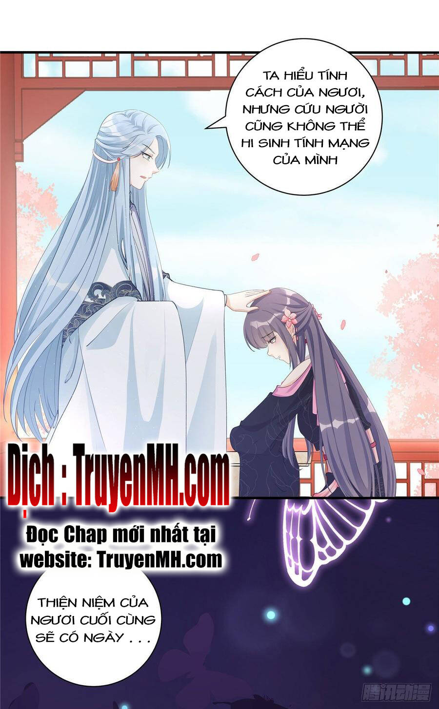 Đồ Đệ Nhà Ta Lại Quải Rồi Chap 241 - Next Chap 242