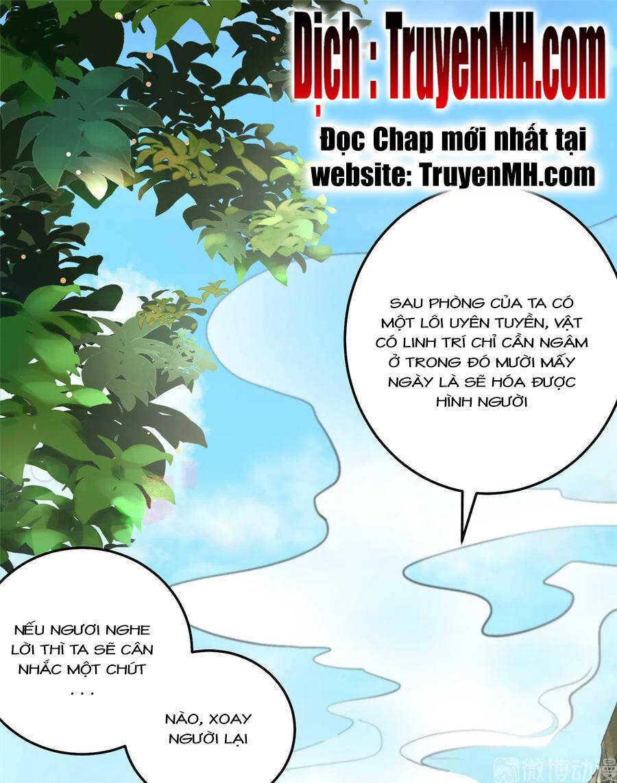 Đồ Đệ Nhà Ta Lại Quải Rồi Chap 287 - Next Chap 288