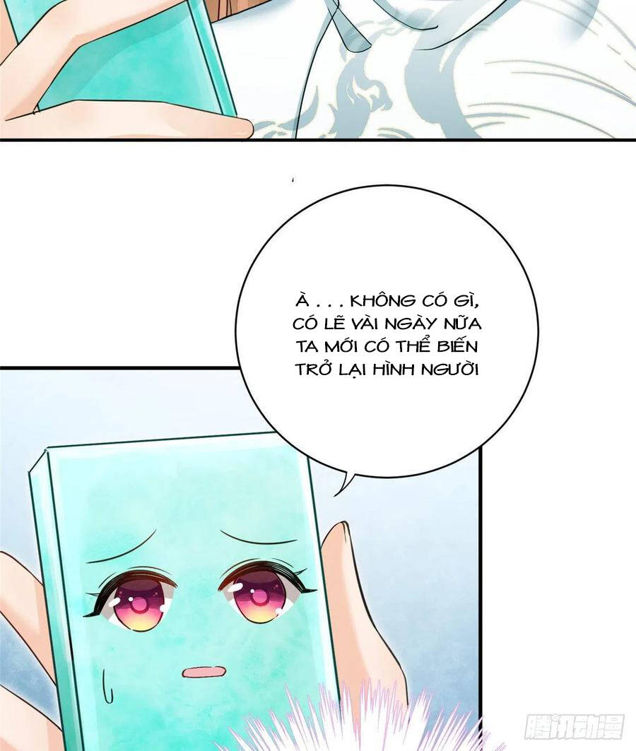 Đồ Đệ Nhà Ta Lại Quải Rồi Chap 324 - Next Chap 325