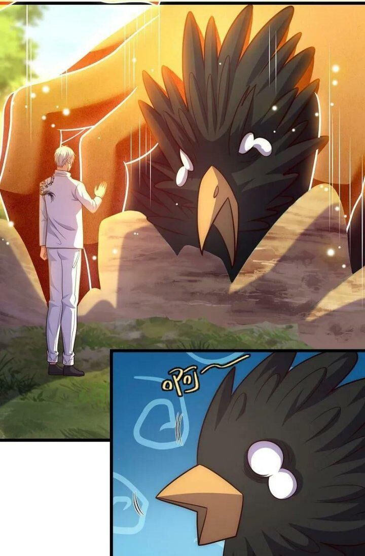 Đô Thị Chi Nghịch Thiên Tiên Tôn Chap 381 - Next Chap 382