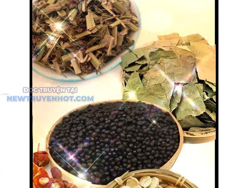 Đô Thị Cực Phẩm Y Thần Chap 164 - Next Chap 165