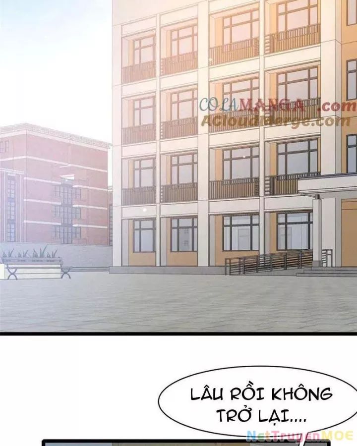 Đô Thị Cực Phẩm Y Thần Chap 240 - Next Chap 241