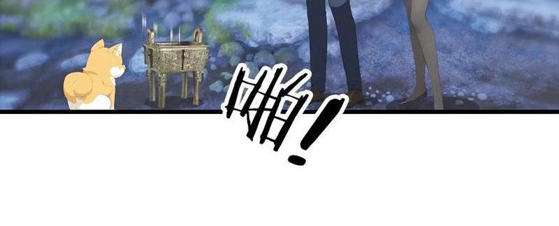 Đô Thị Thánh Thủ: Ta Là Y Võ Đỉnh Phong Chap 134 - Next Chap 135