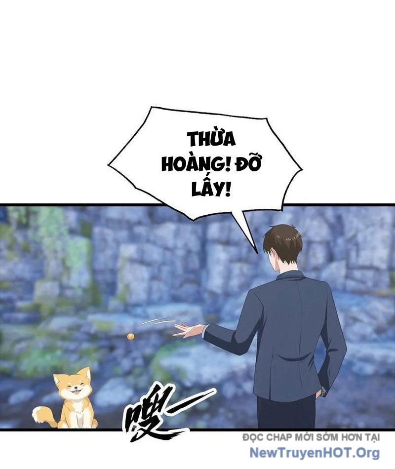 Đô Thị Thánh Thủ: Ta Là Y Võ Đỉnh Phong Chap 134 - Next Chap 135
