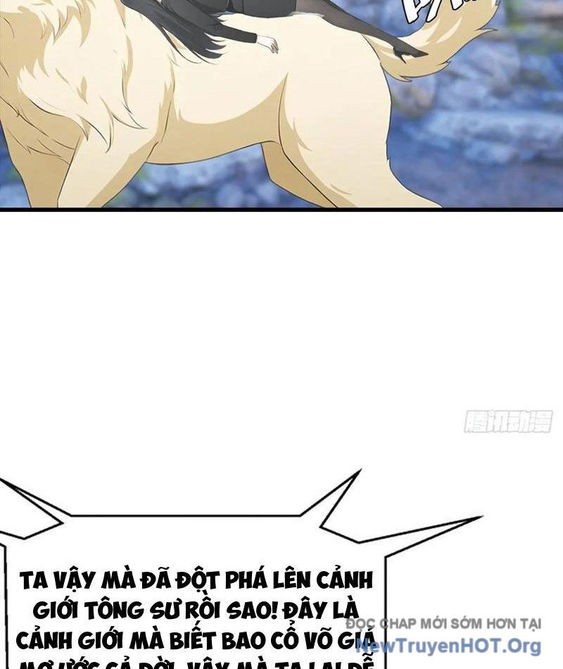 Đô Thị Thánh Thủ: Ta Là Y Võ Đỉnh Phong Chap 134 - Next Chap 135