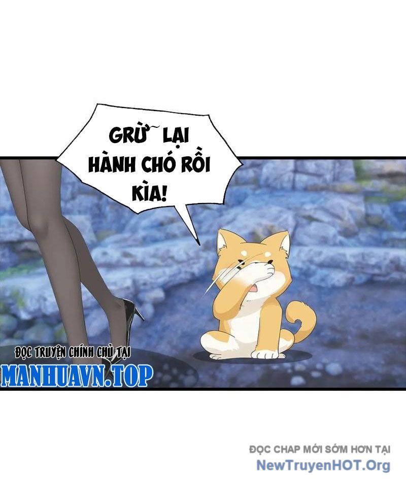 Đô Thị Thánh Thủ: Ta Là Y Võ Đỉnh Phong Chap 134 - Next Chap 135