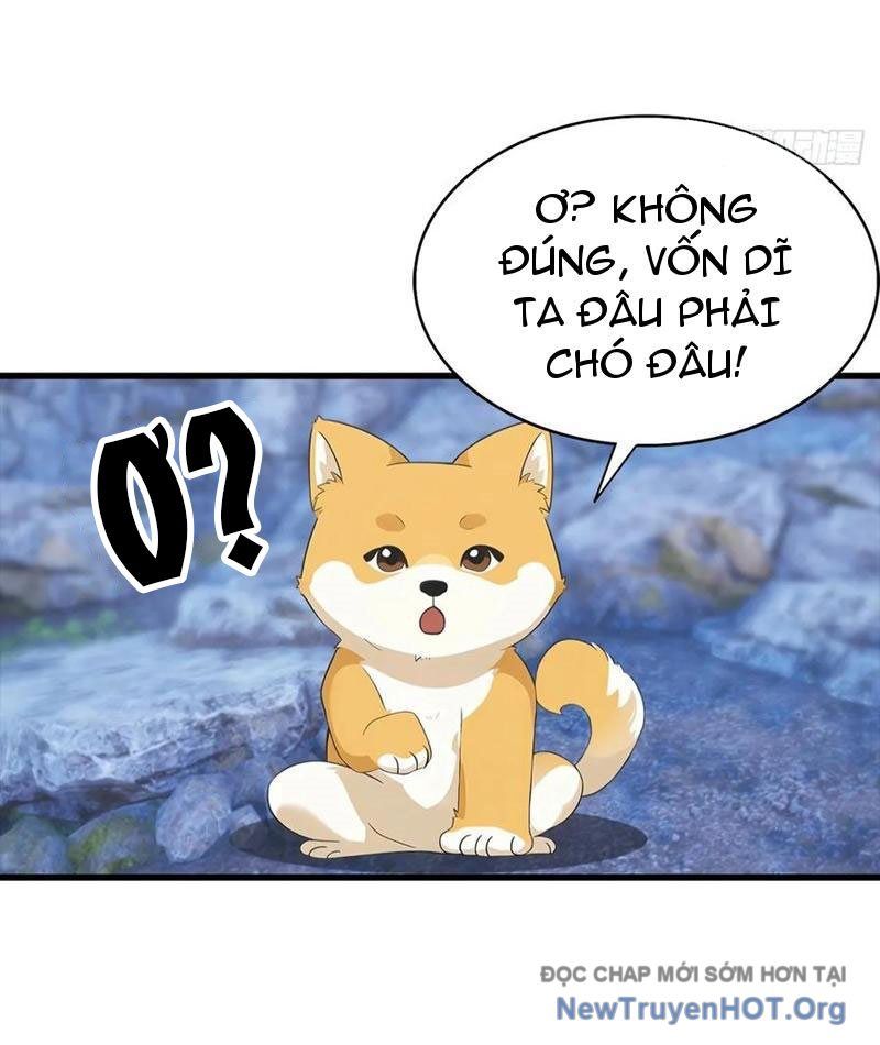 Đô Thị Thánh Thủ: Ta Là Y Võ Đỉnh Phong Chap 134 - Next Chap 135