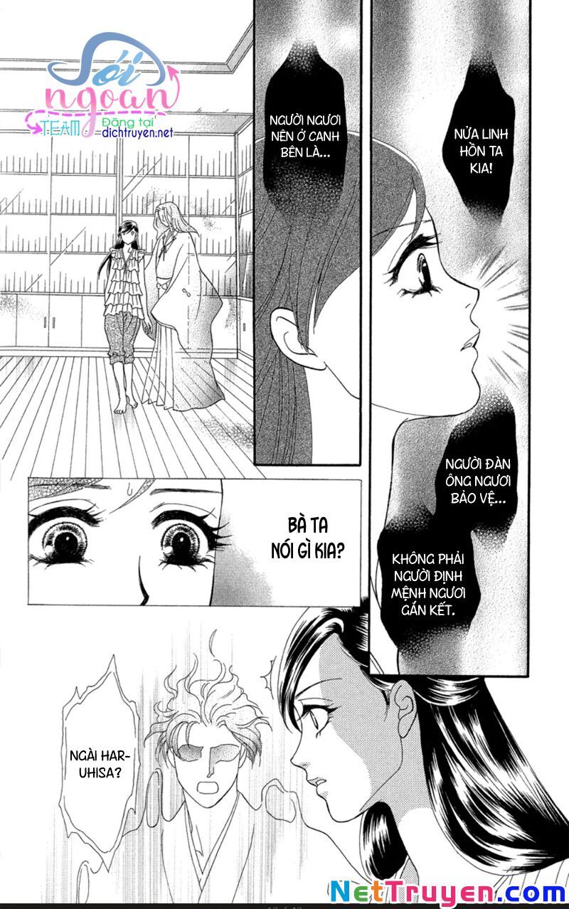 Đóa Hồng Dành Tặng Seri Chap 18 - Next Chap 19