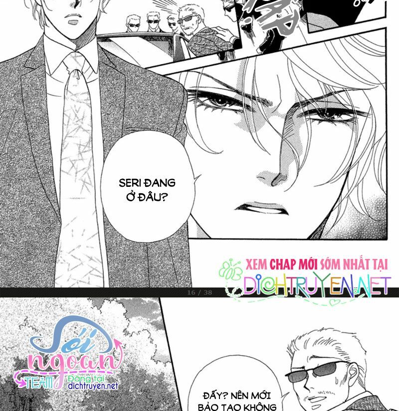 Đóa Hồng Dành Tặng Seri Chap 19 - Next Chap 20