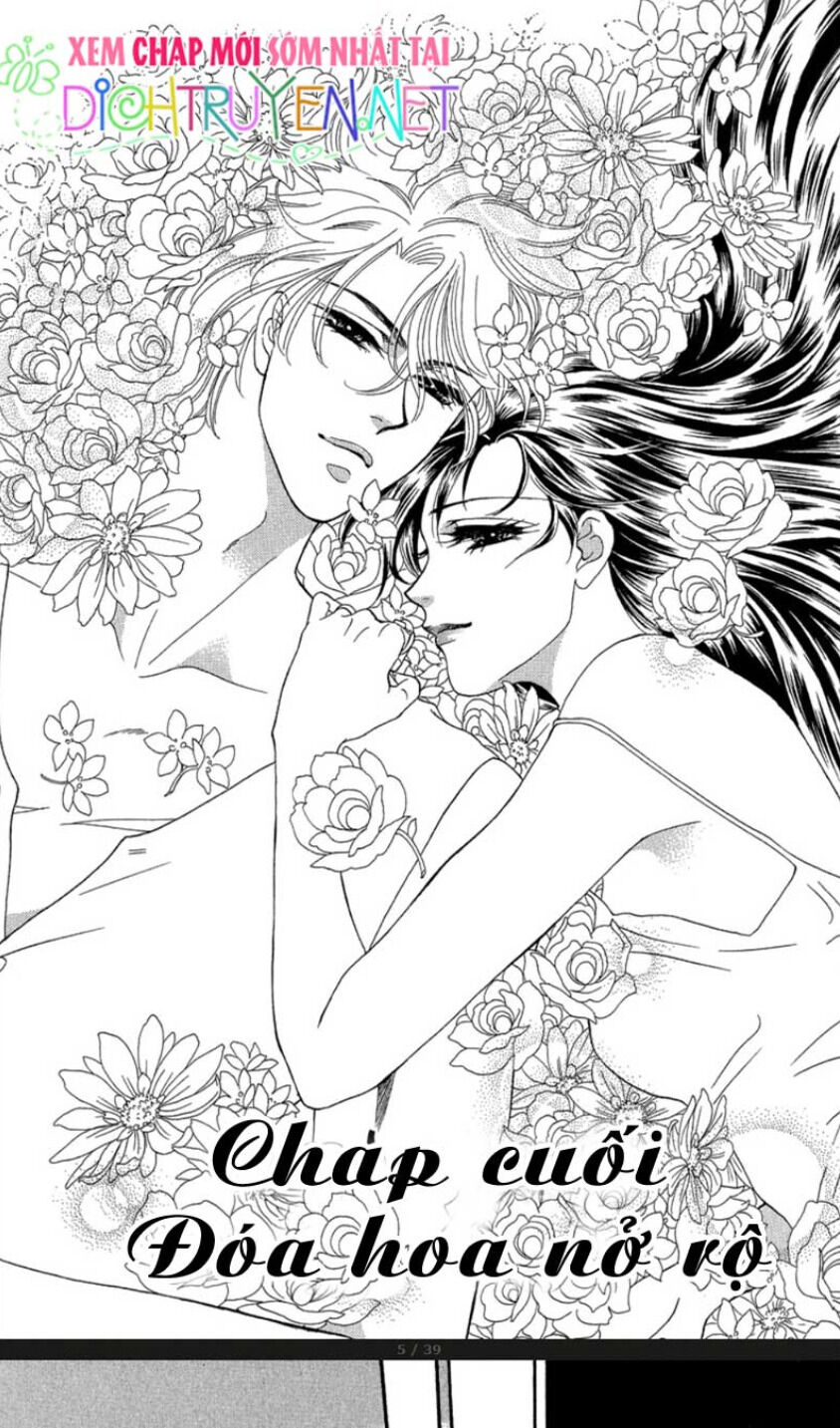 Đóa Hồng Dành Tặng Seri Chap 20 - Next Chap 21