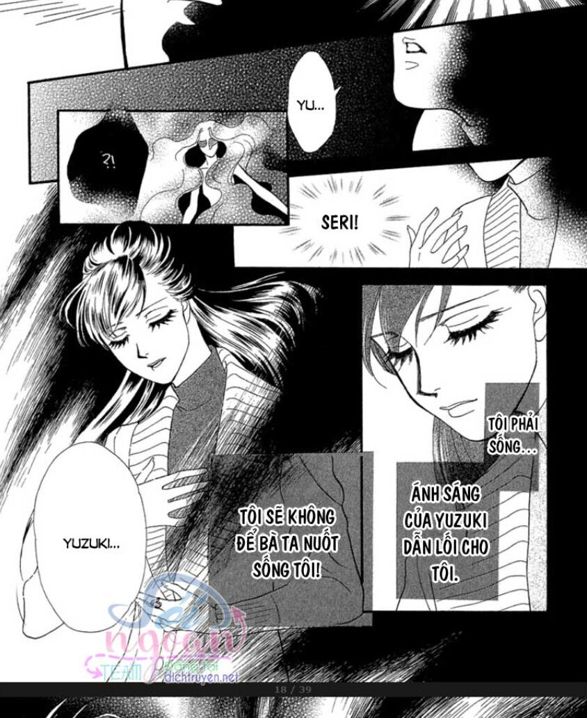 Đóa Hồng Dành Tặng Seri Chap 20 - Next Chap 21