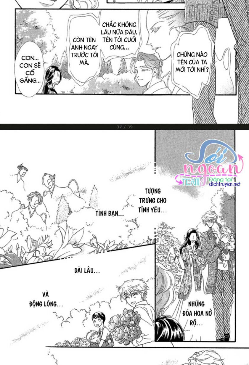 Đóa Hồng Dành Tặng Seri Chap 20 - Next Chap 21