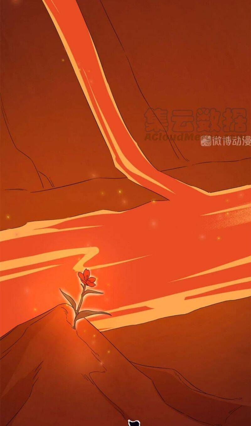 Độc Bộ Thiên Hạ: Đặc Công Thần Y Chap 284 - Next Chap 285