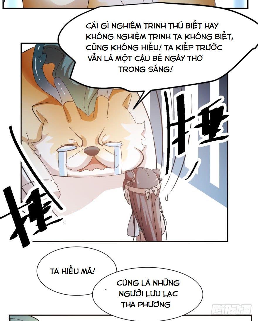 Độc Bộ Thiên Hạ: Đặc Công Thần Y Chap 3 - Next Chap 4