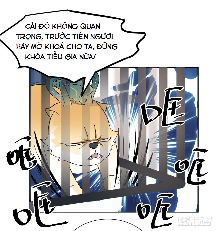 Độc Bộ Thiên Hạ: Đặc Công Thần Y Chap 4 - Next Chap 5