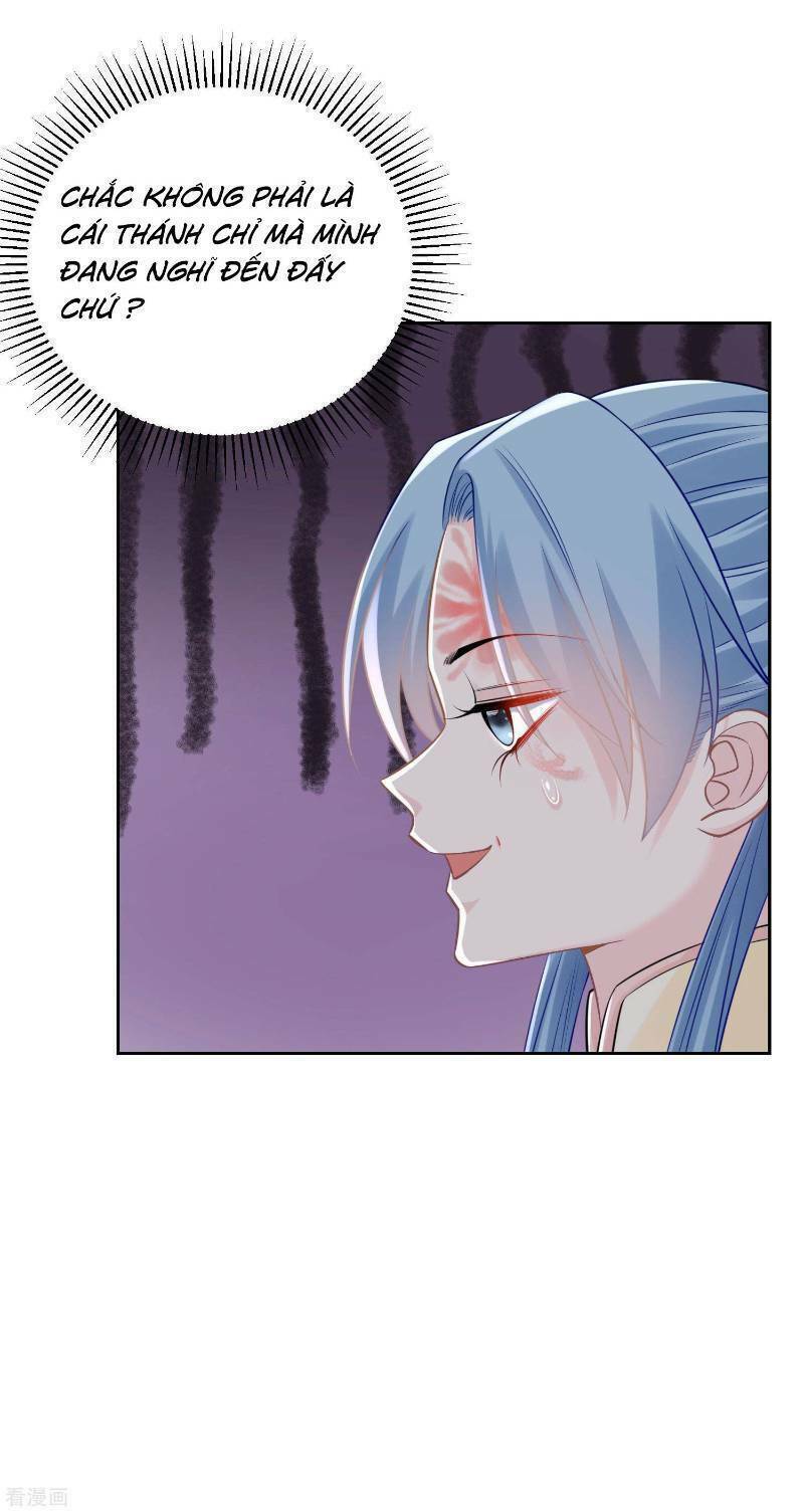 Độc Y Đích Nữ Chap 88 - Next Chap 89