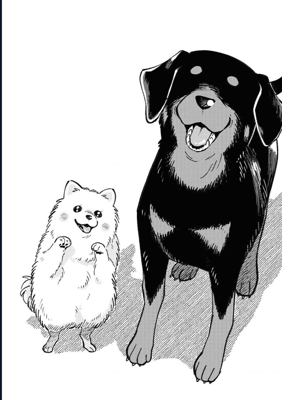 Đôi Ta Hoàn Toàn Trái Ngược Chap 255 - Next Chap 256